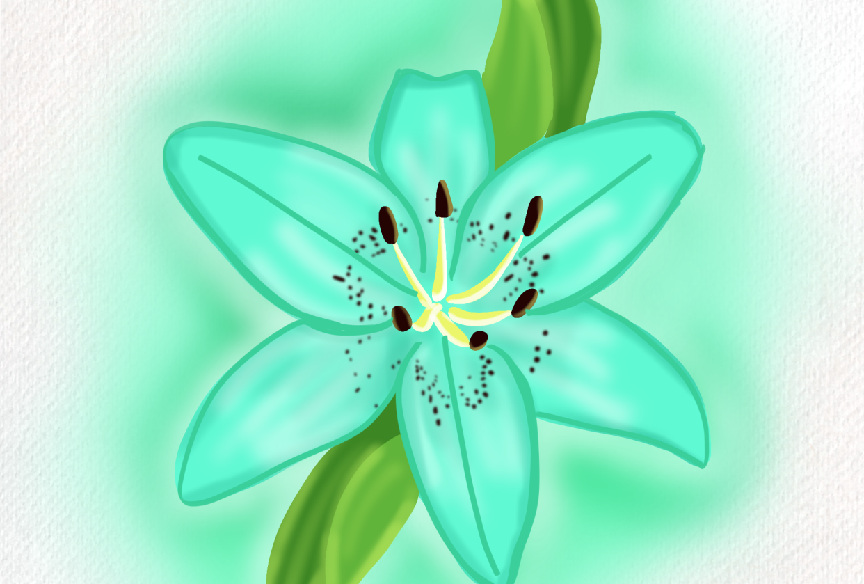My Lily - student project
