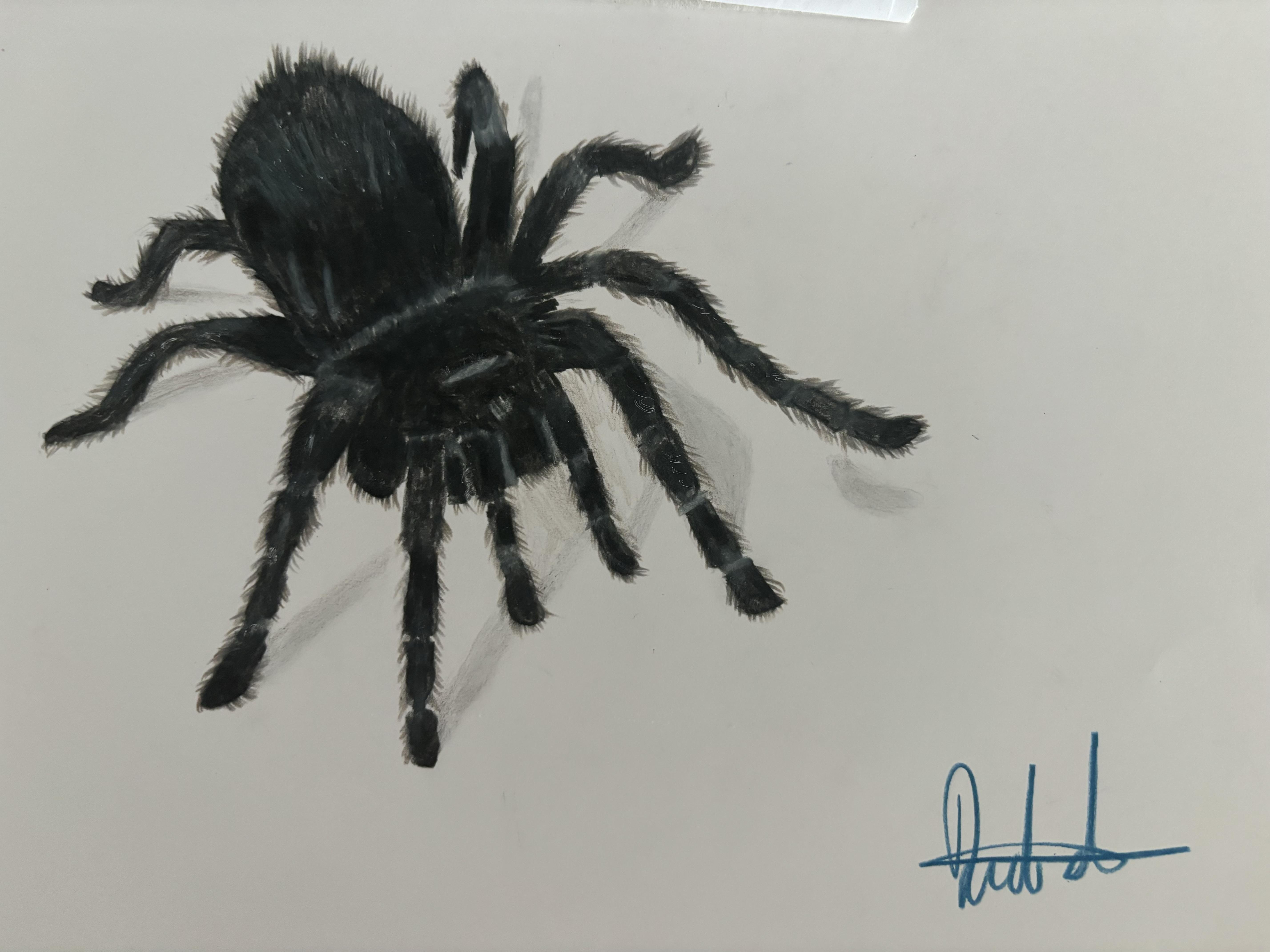 more-projects-from-class-img