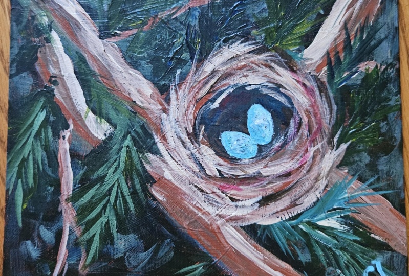 Bird's nest acrylic
