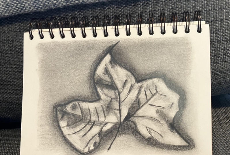 Reverse drawing of a leaf