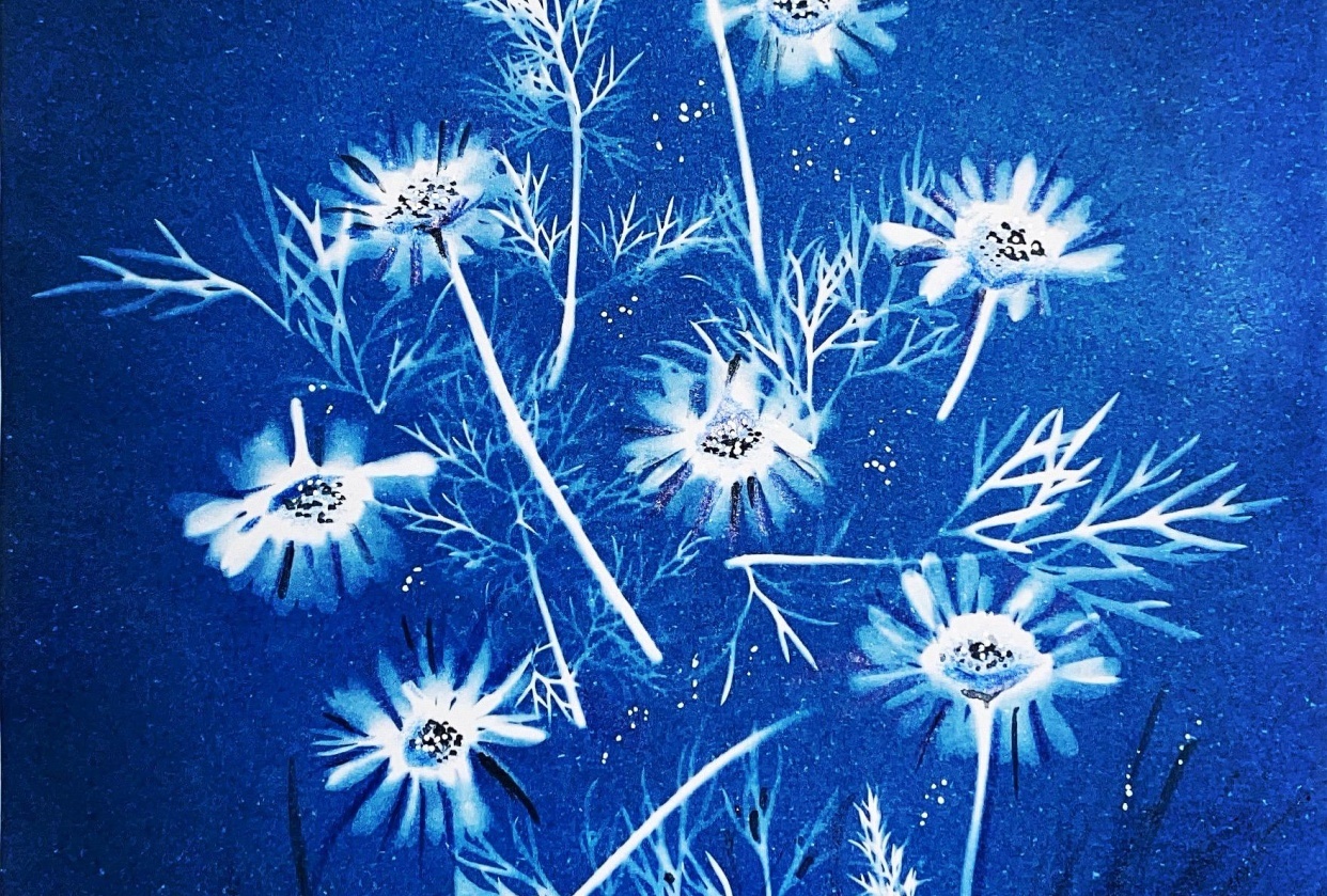Exploring Cyanotype - student project