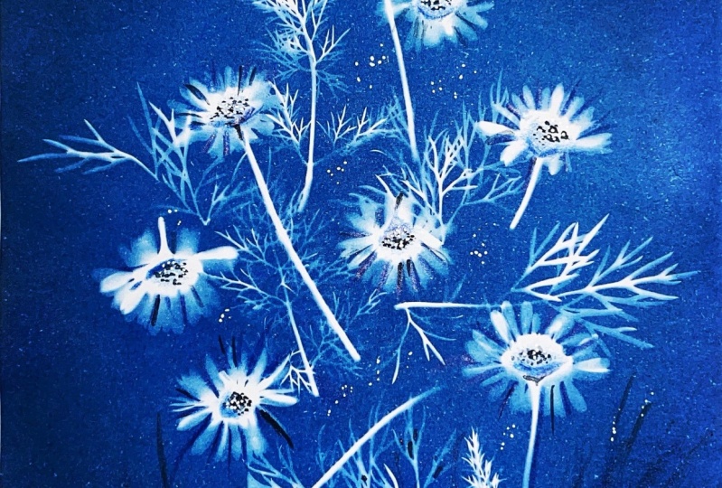 Exploring Cyanotype