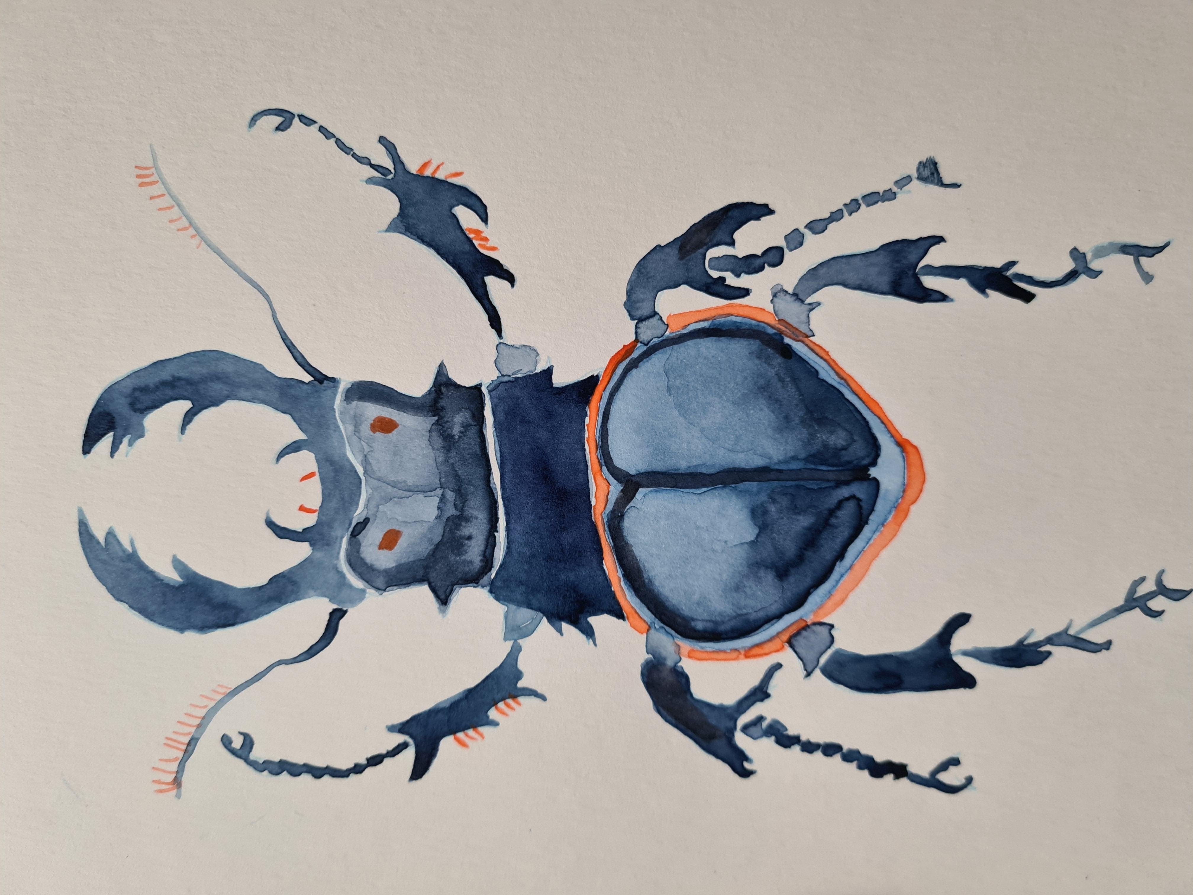 First watercolor beetle - student project
