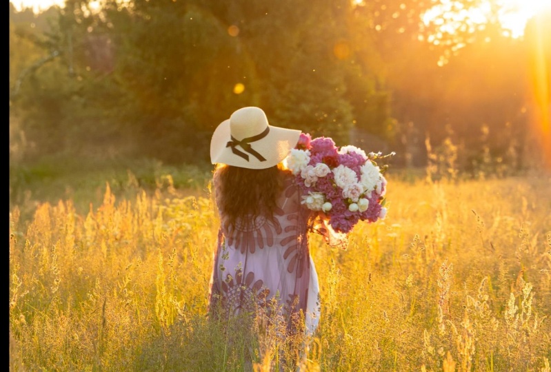 golden hour walk in the meadow