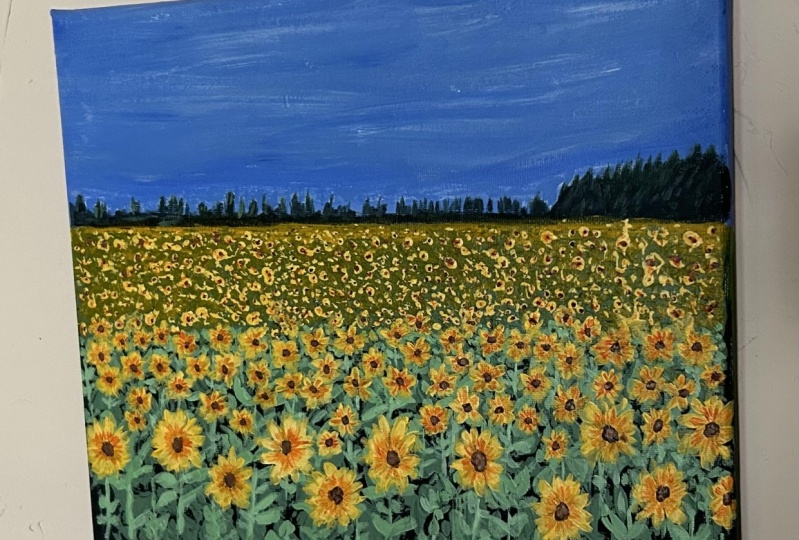 Sunflowers Fields Forever