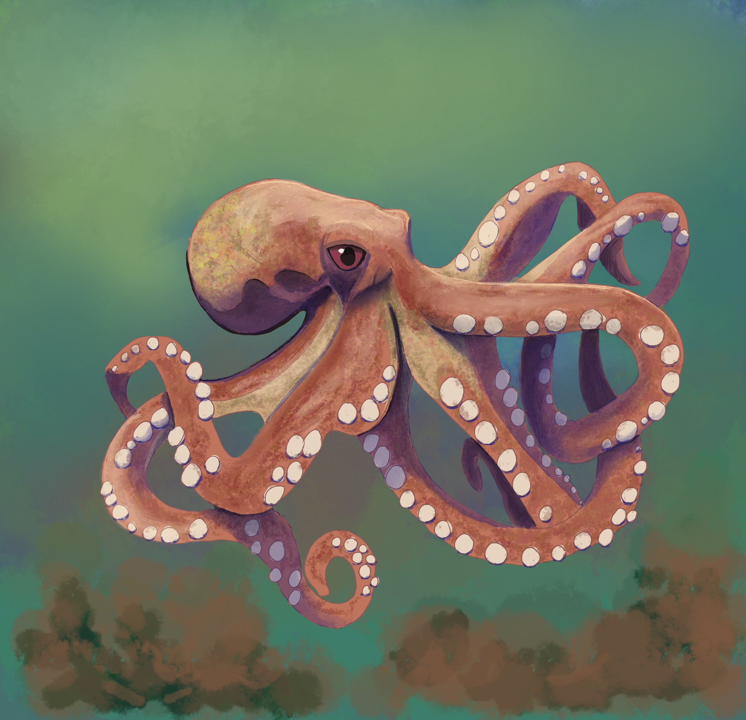 more-projects-from-class-img