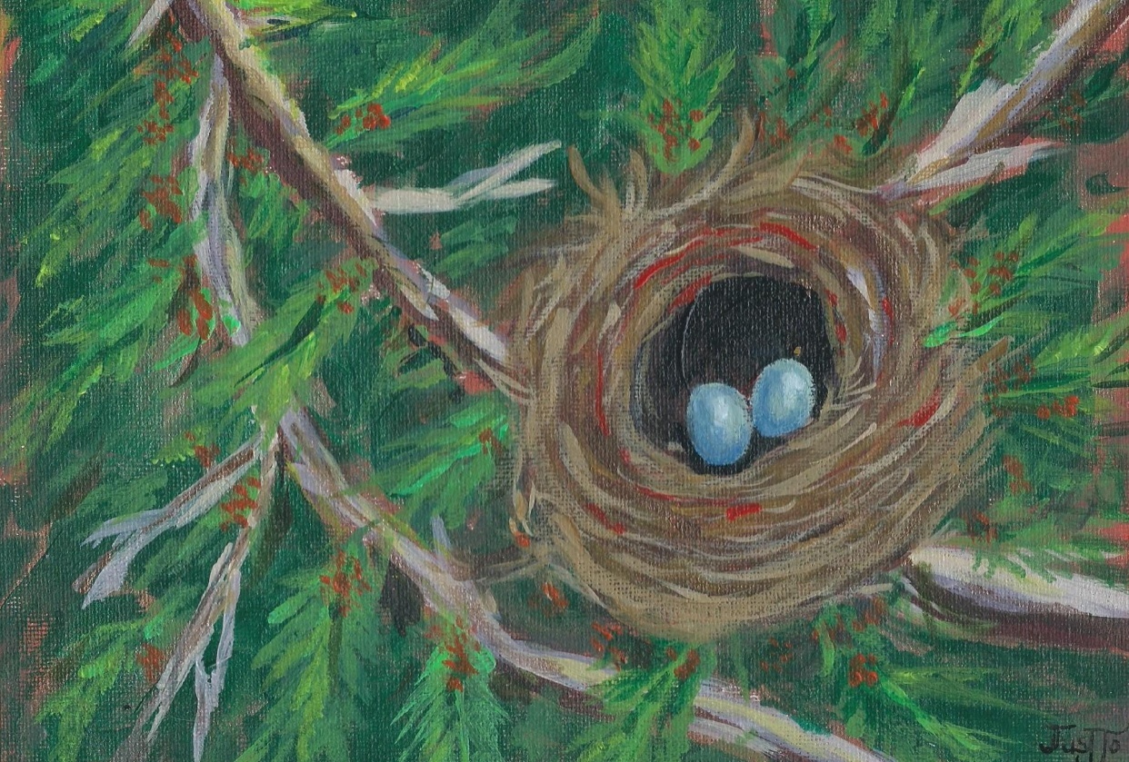 Bird's nest - student project