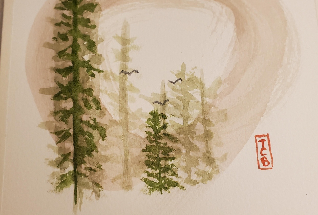 Enso - Earth - student project