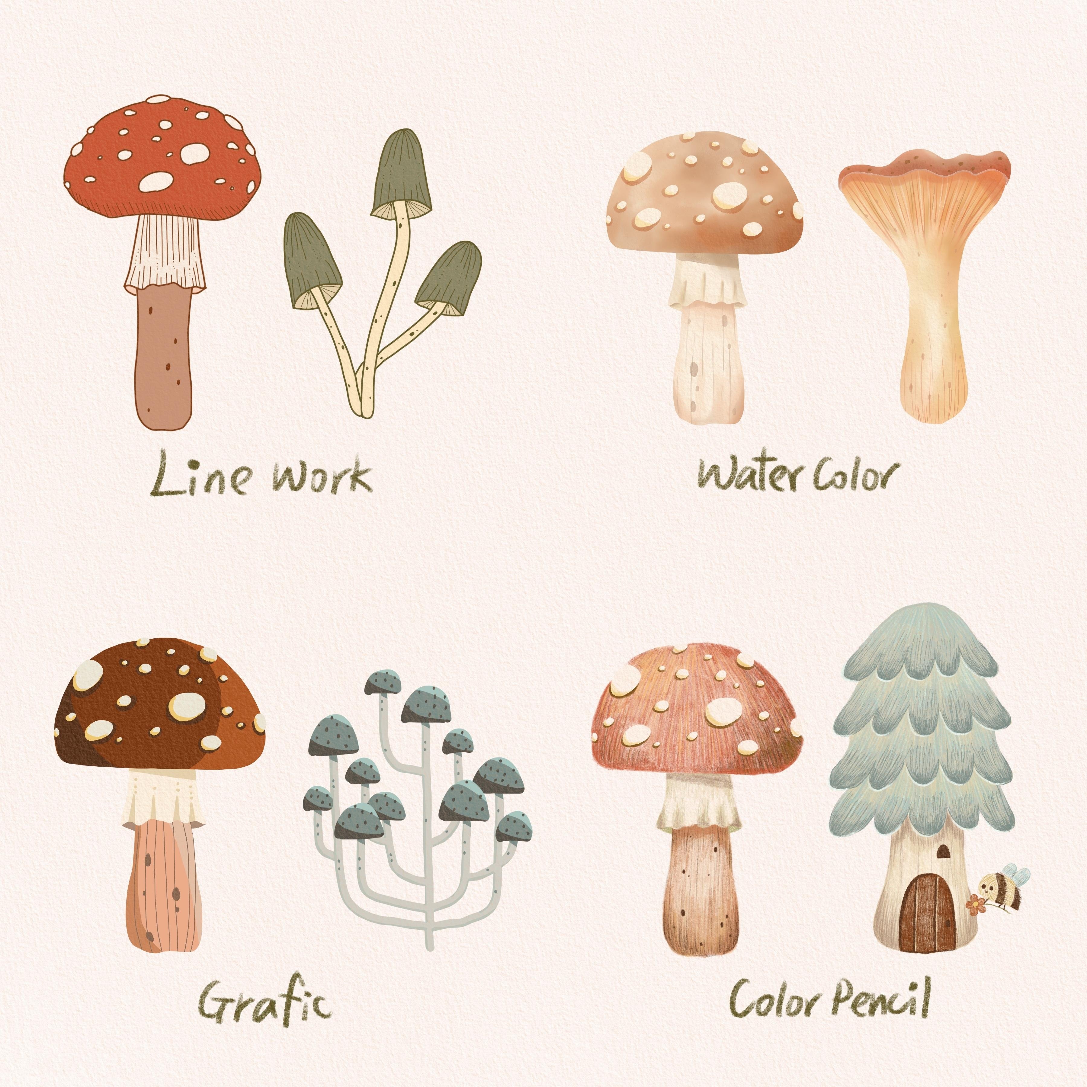 Mushrooms - student project