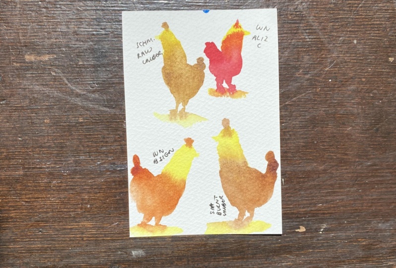 Colourful chickens
