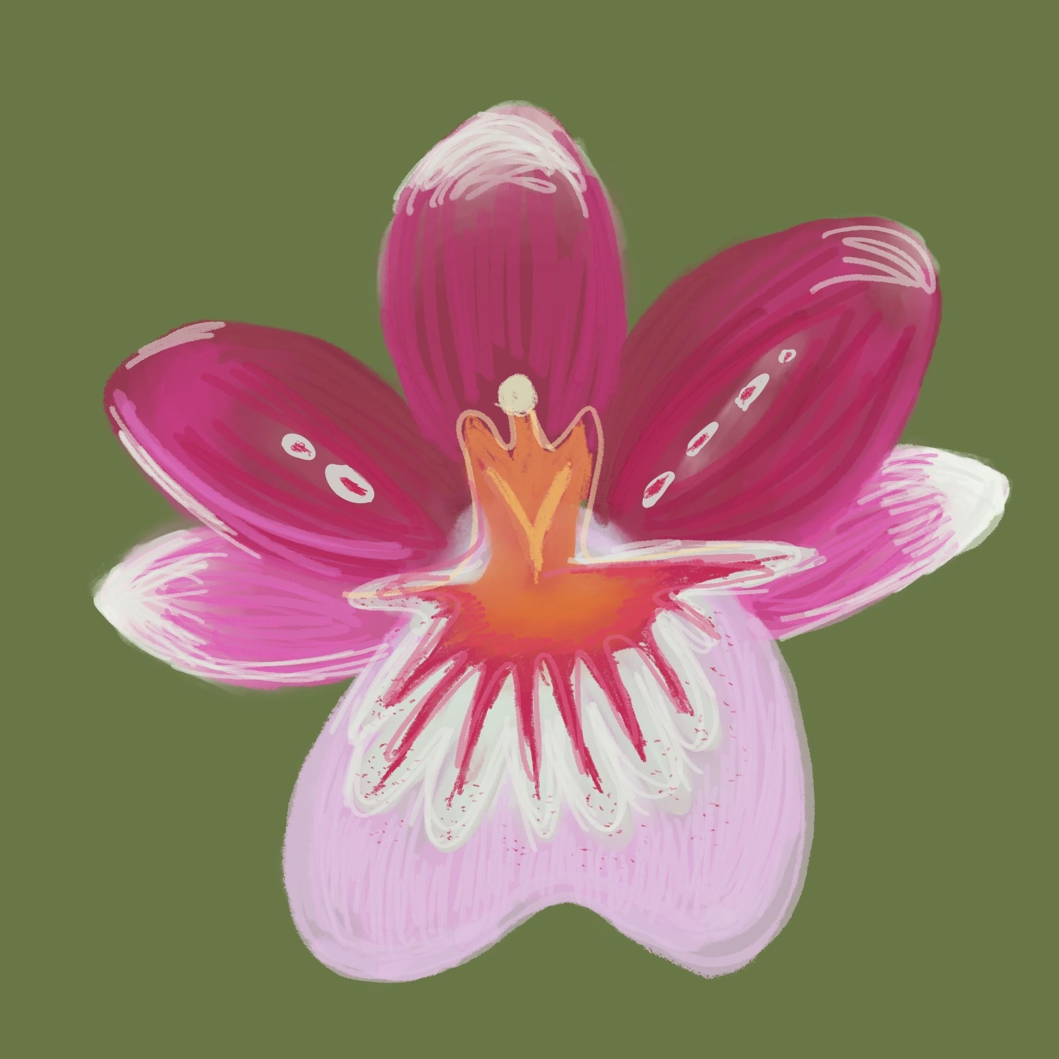 more-projects-from-class-img