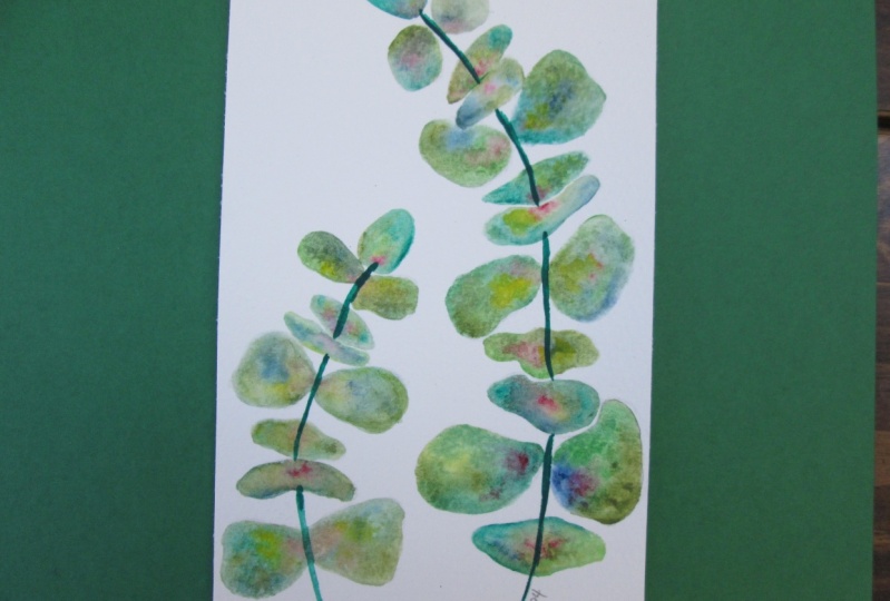 Jeweled Eucalyptus