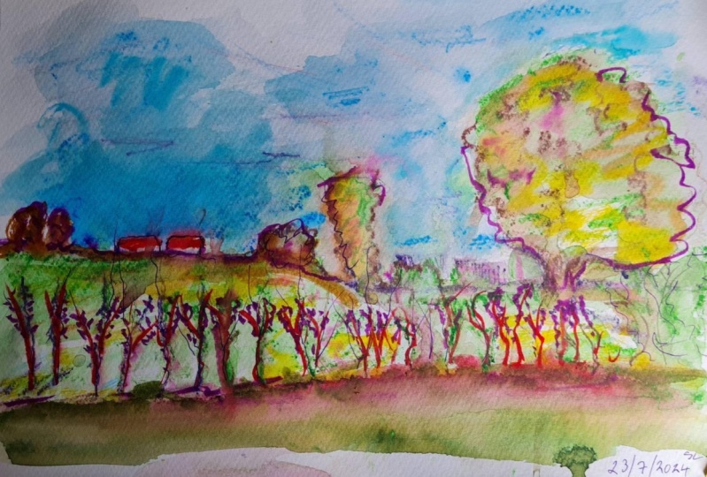 sketch with watercolour pencils