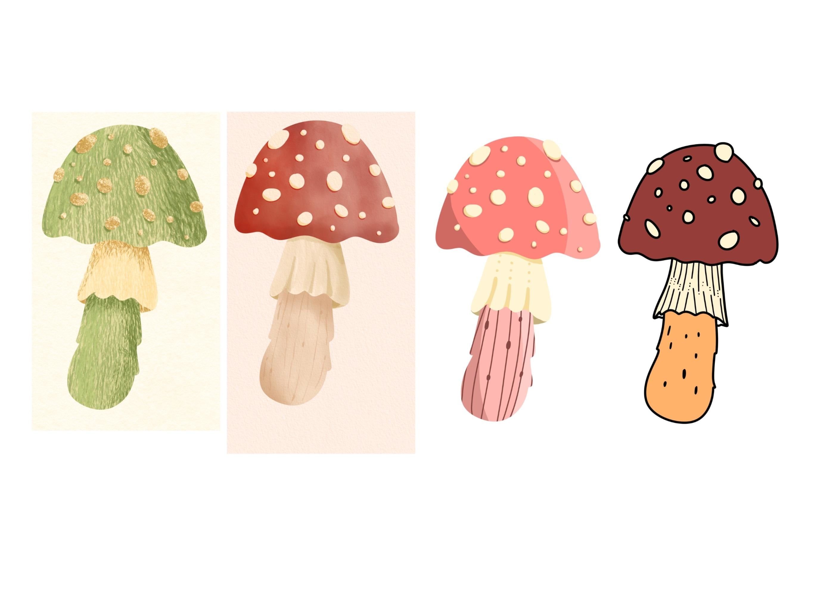 Mushroom four ways - student project