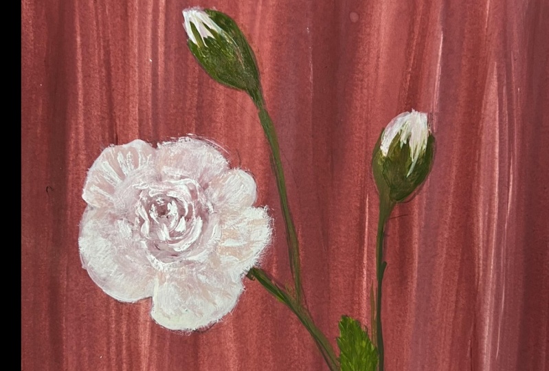 wild rose