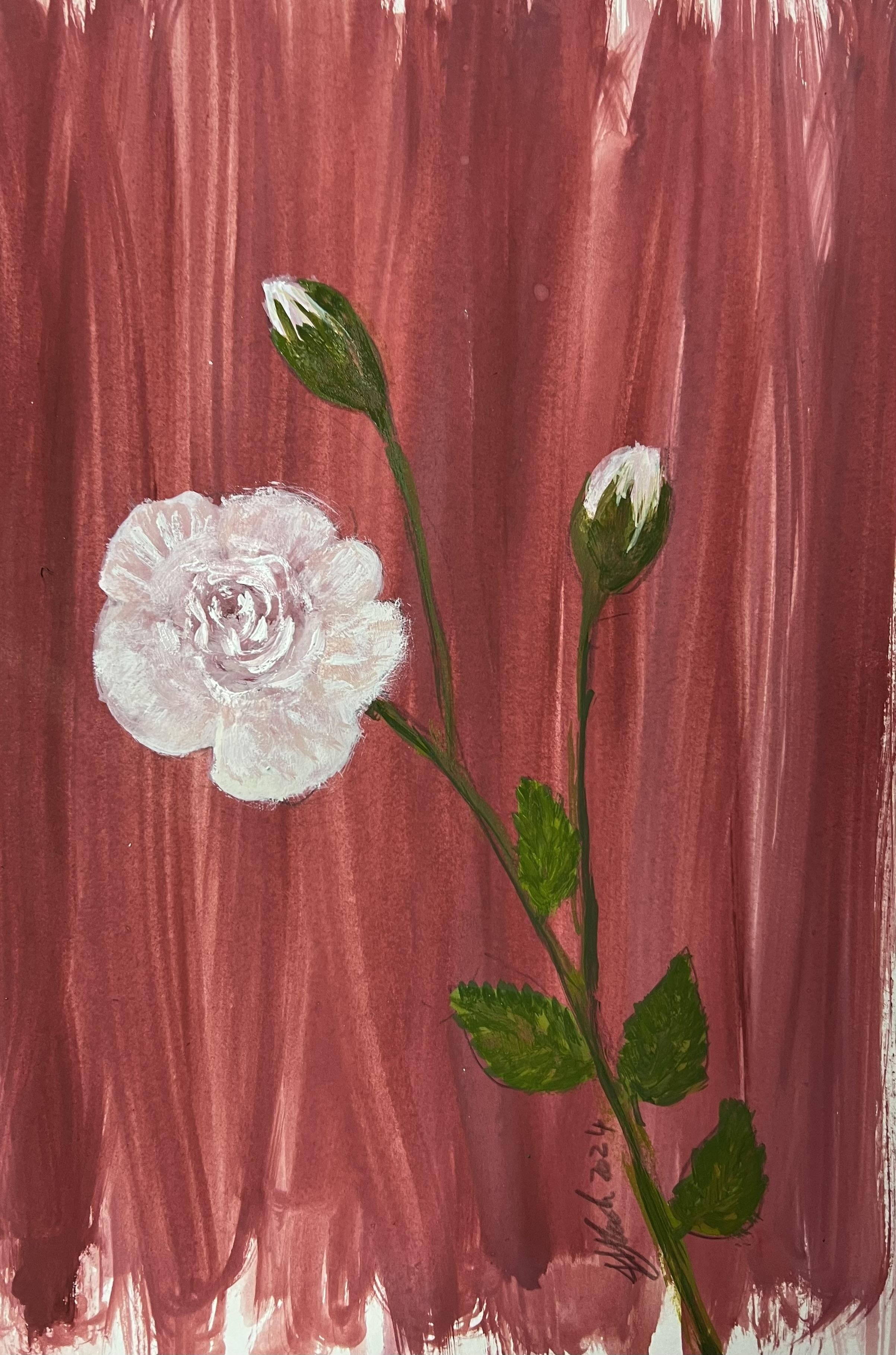 wild rose - student project
