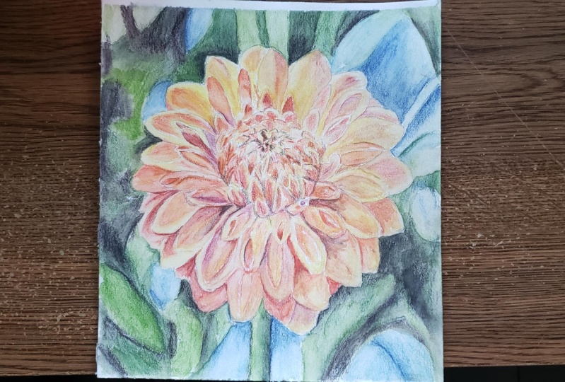 Colored pencil flower
