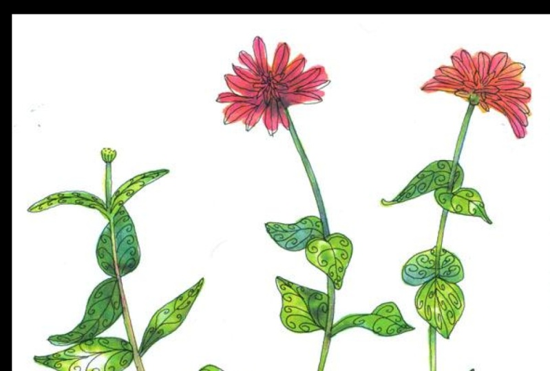 Whimsical flowers