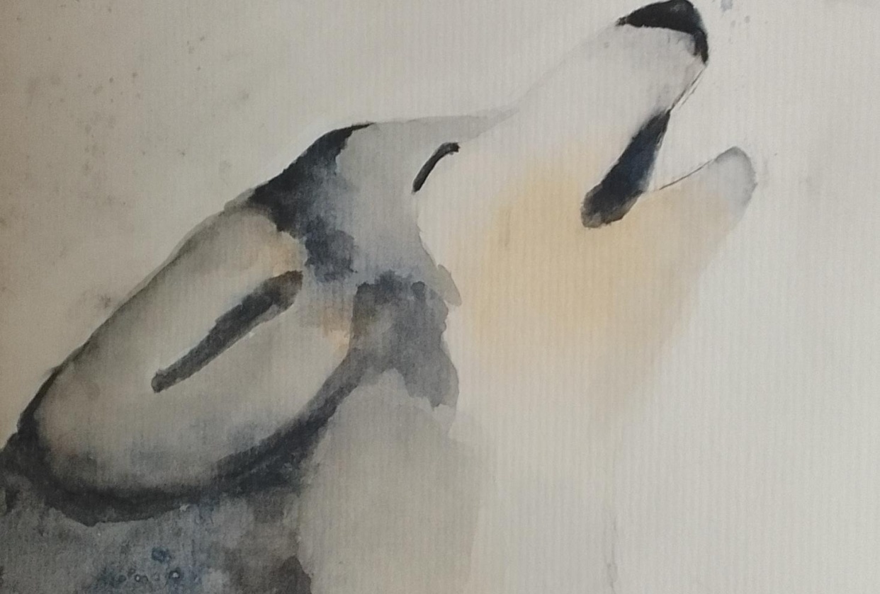 2nd wolf - student project