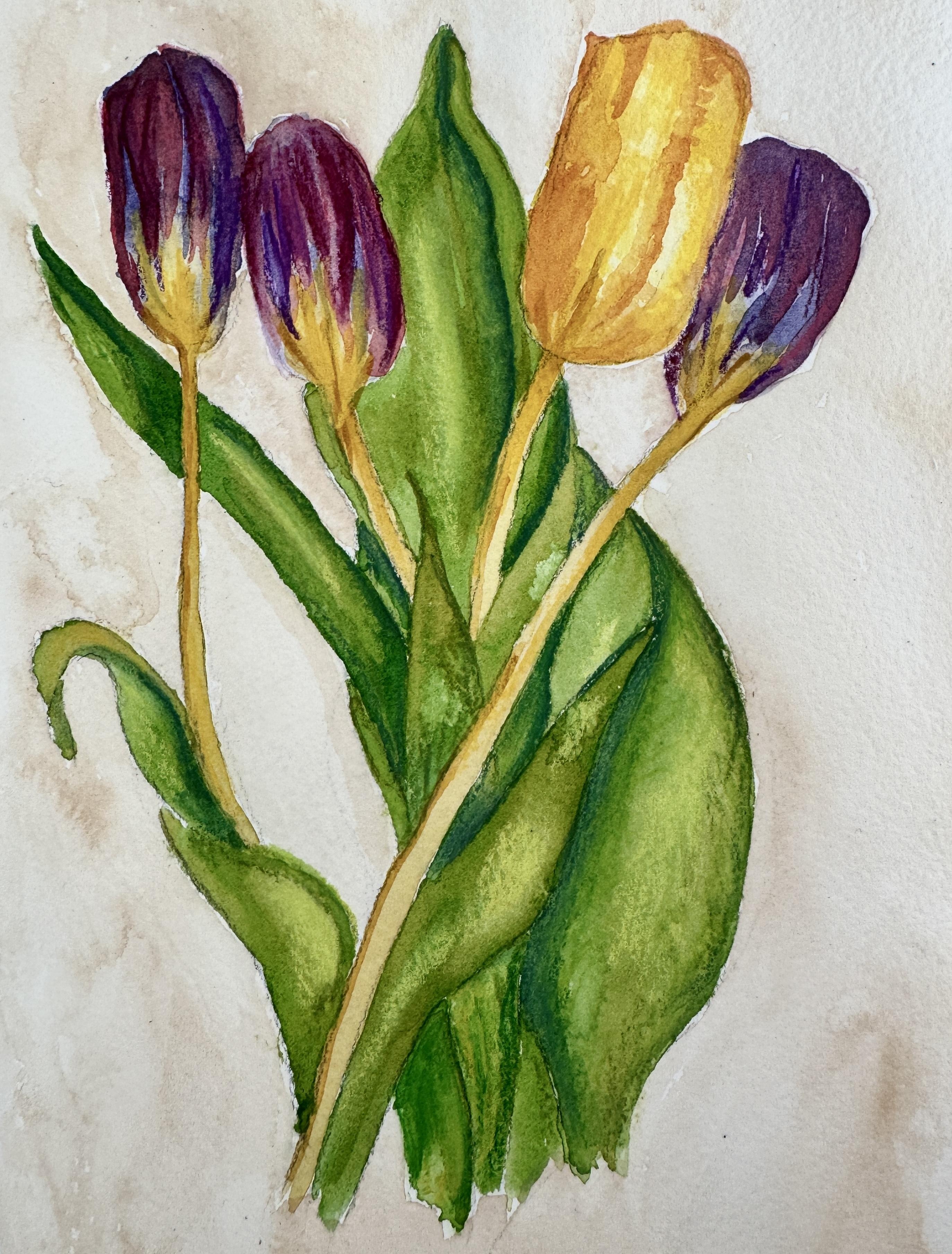 The Ultimate Guide to Drawing Flowers (Roundup Article) | Muus Art, image size:2746x3617