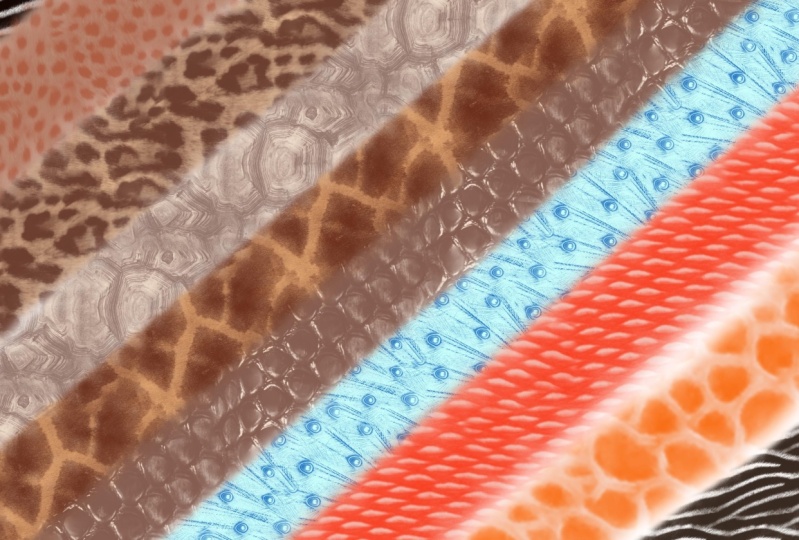 My dual animal print brushes