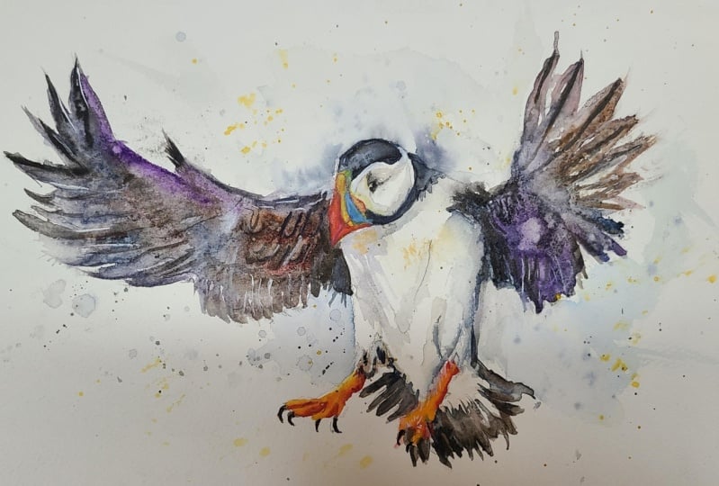 Puffin landing