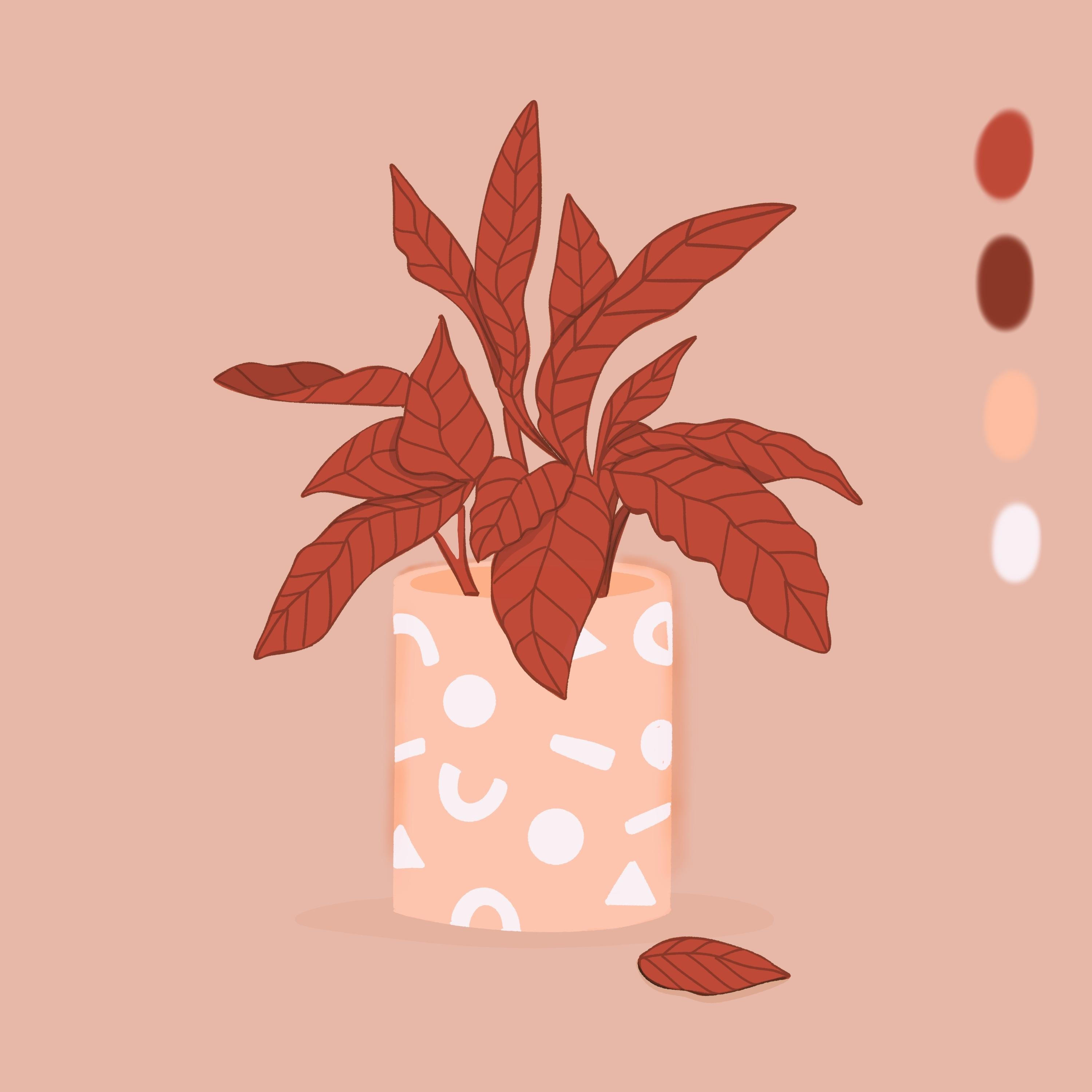 more-projects-from-class-img