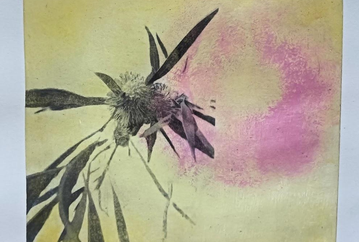 Playing with Photo Transfer - Blooms - student project