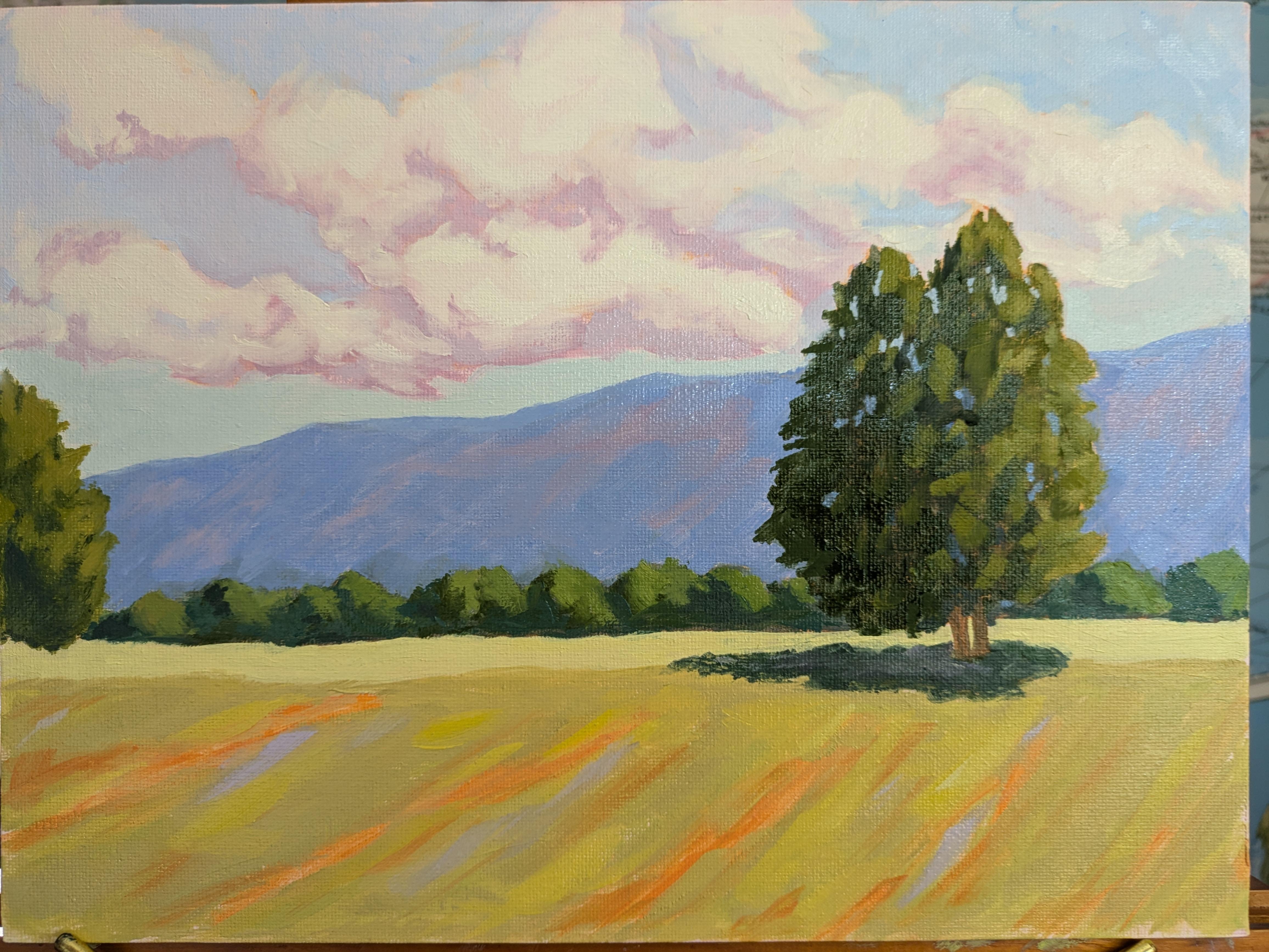 Colorful landscape_cp - student project