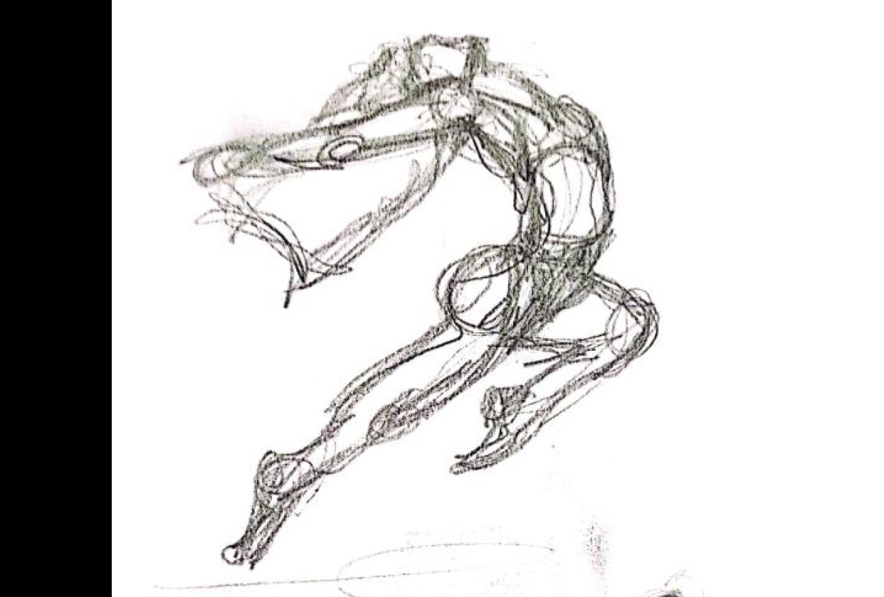 Human Figure Project - student project