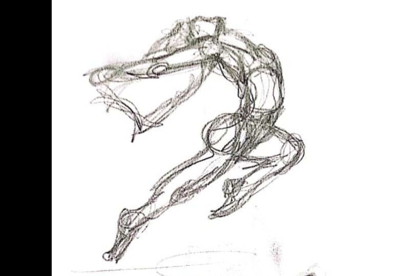 Human Figure Project