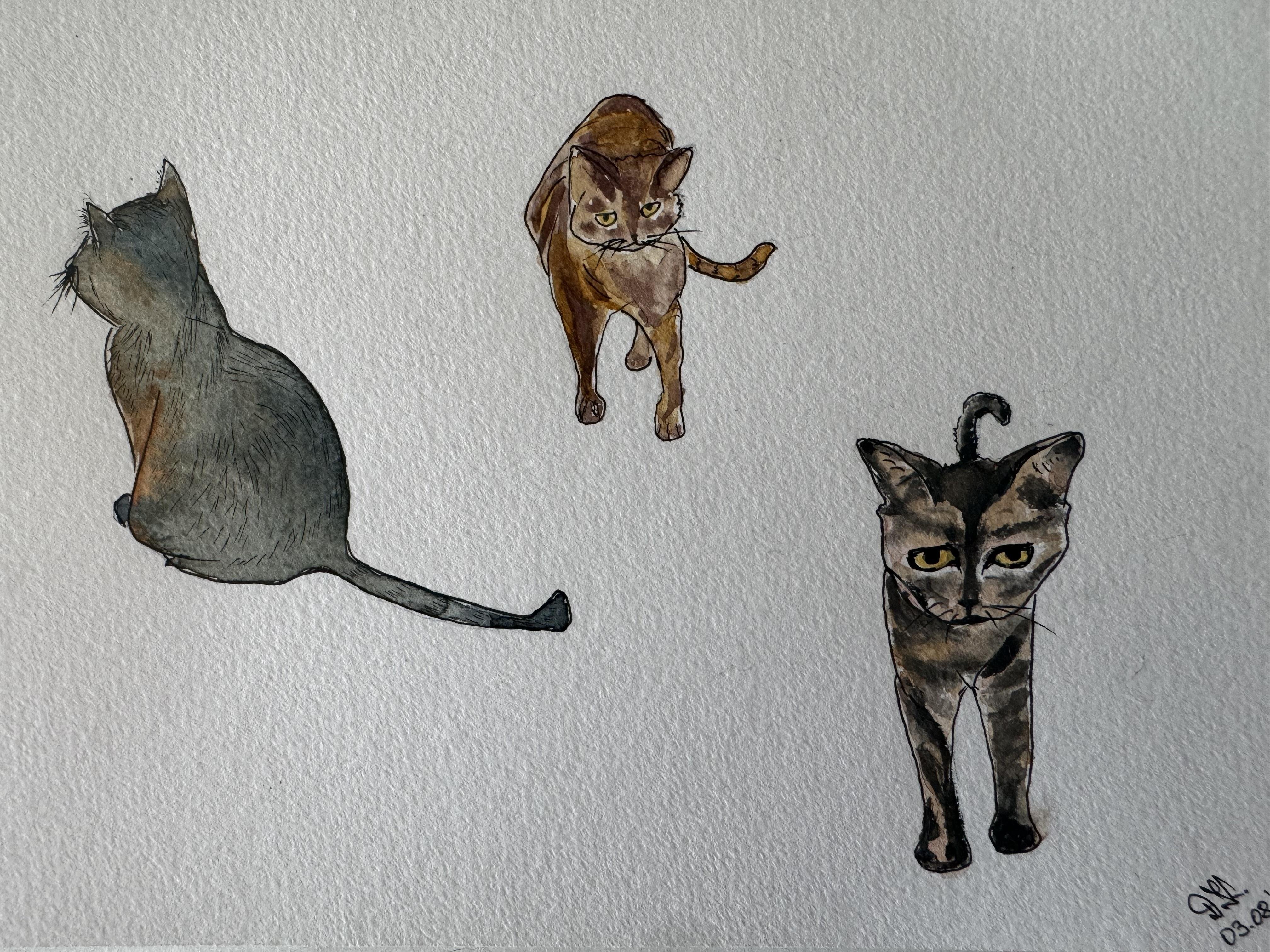 more-projects-from-class-img
