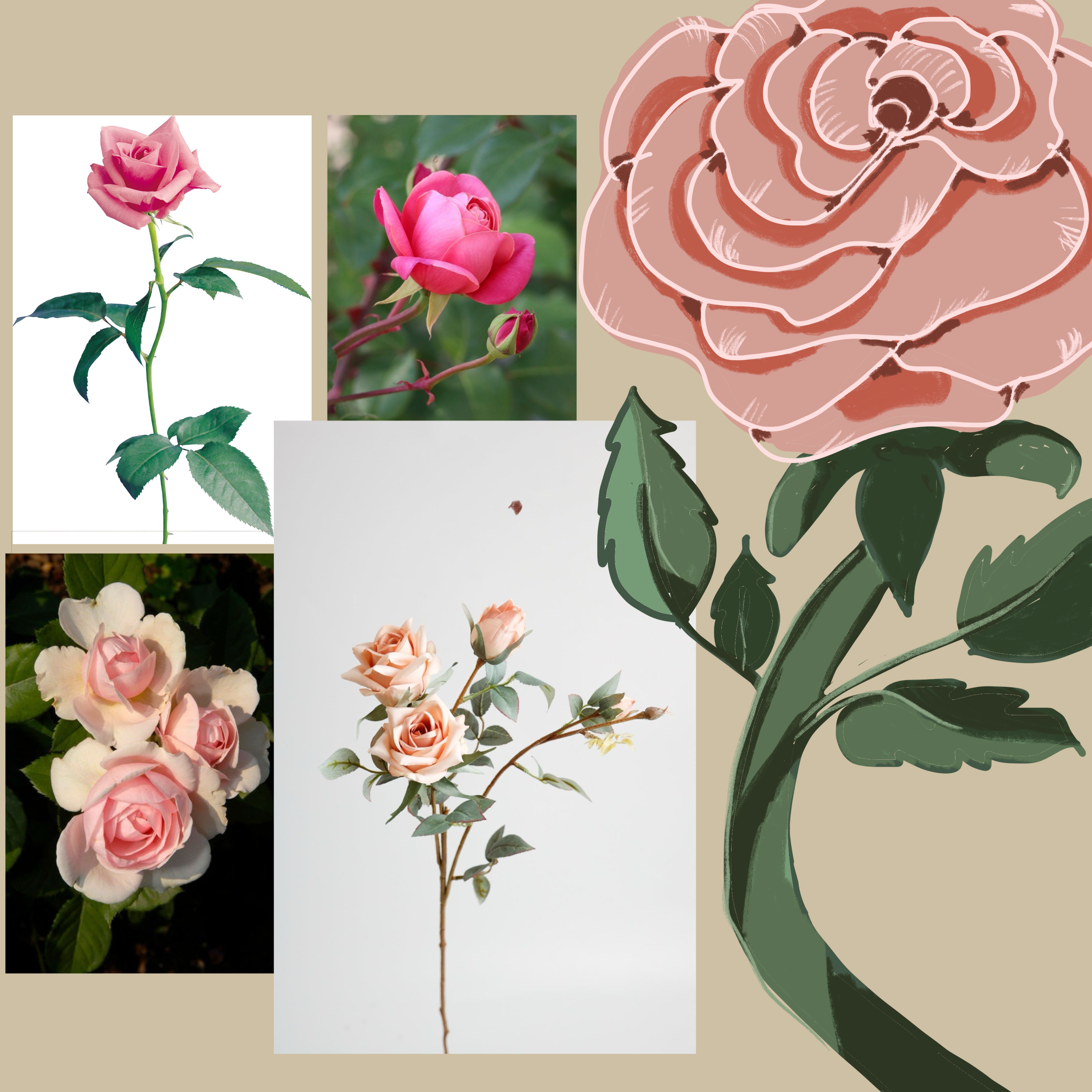 more-projects-from-class-img