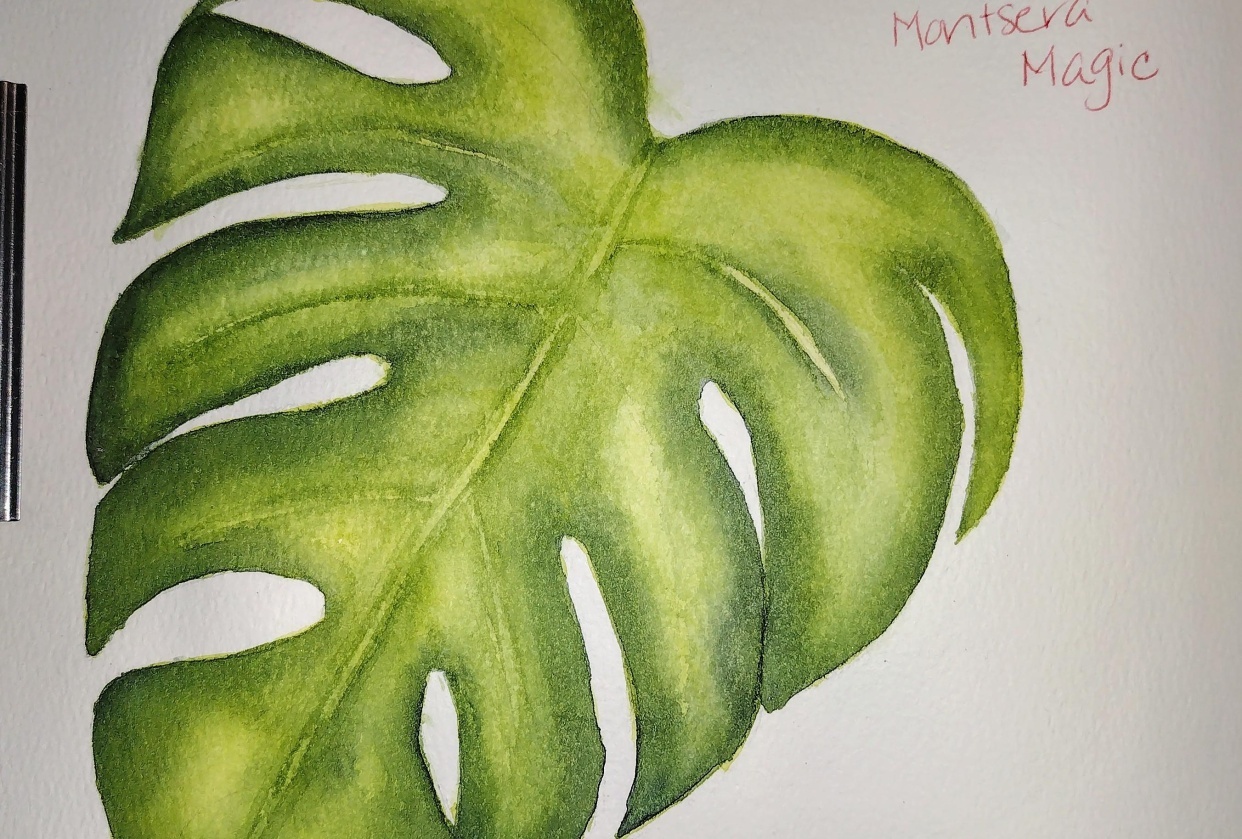 Monstera Magic - student project
