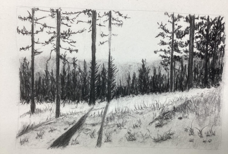 Drawing landscapes with charcoal