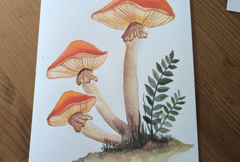 Happy with this first attempt!