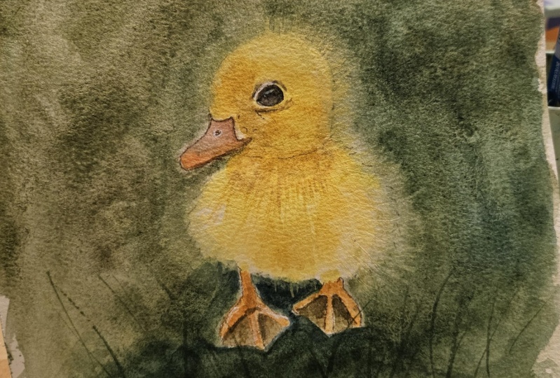 Grumpy Duck & Cuddle Duck