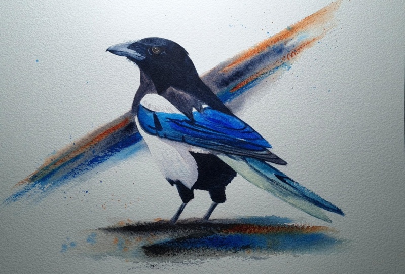 Magpie