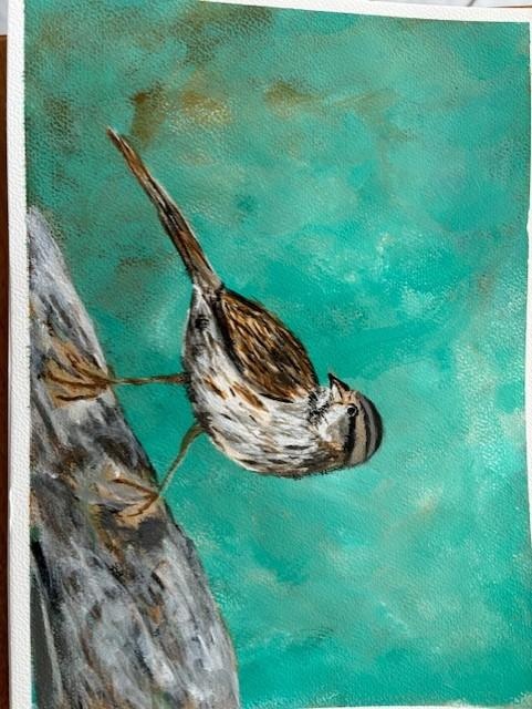 Moineau - student project