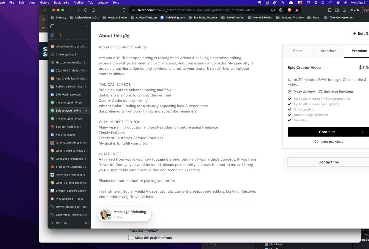 Screenshot of first Gig description - student project