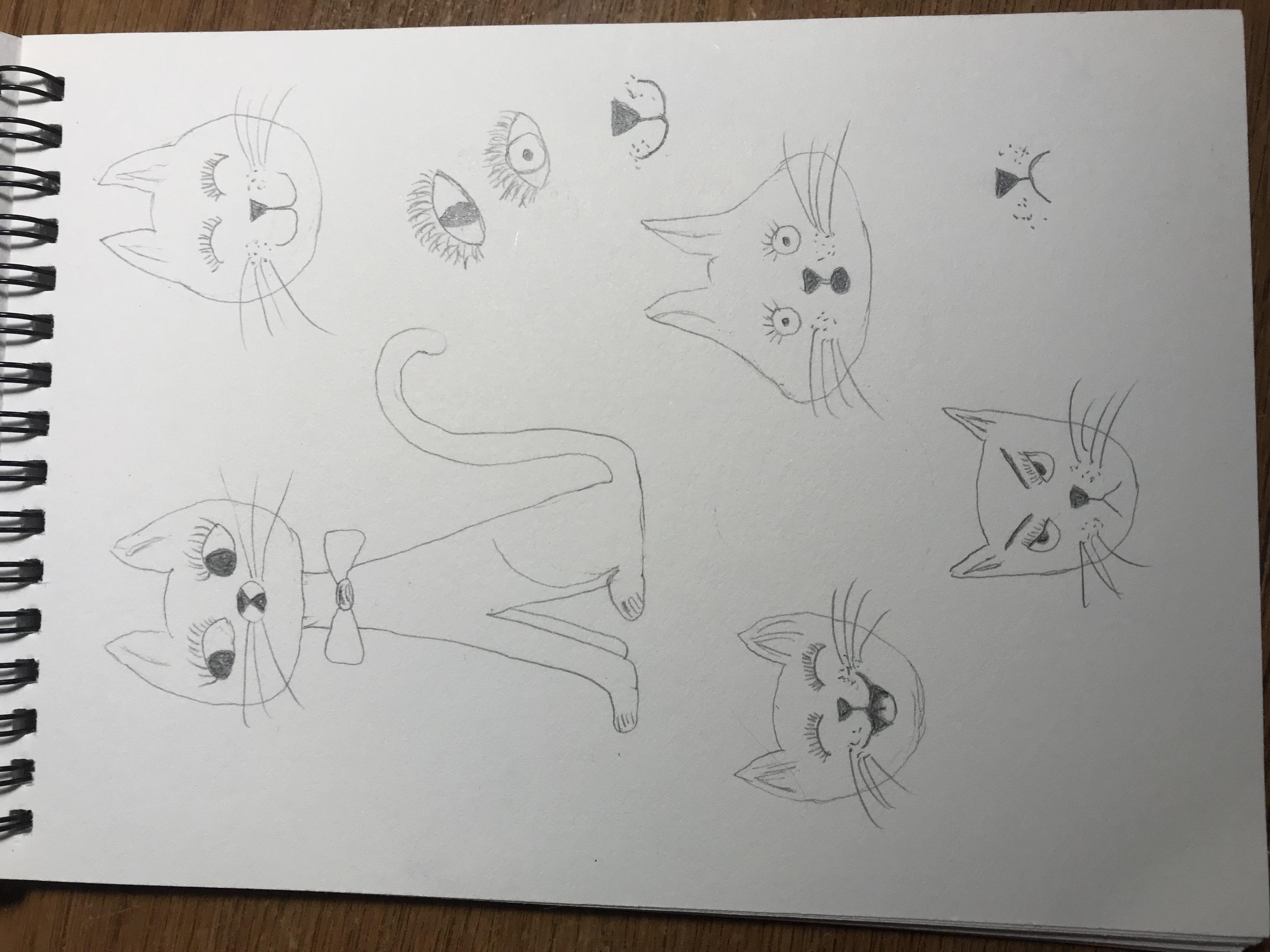 more-projects-from-class-img