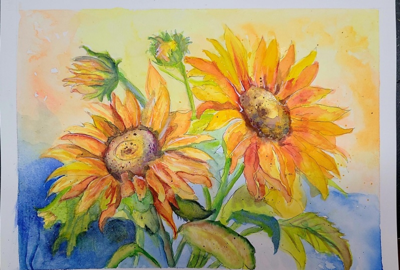 Sunflowers