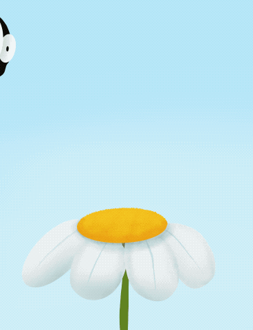 more-projects-from-class-img
