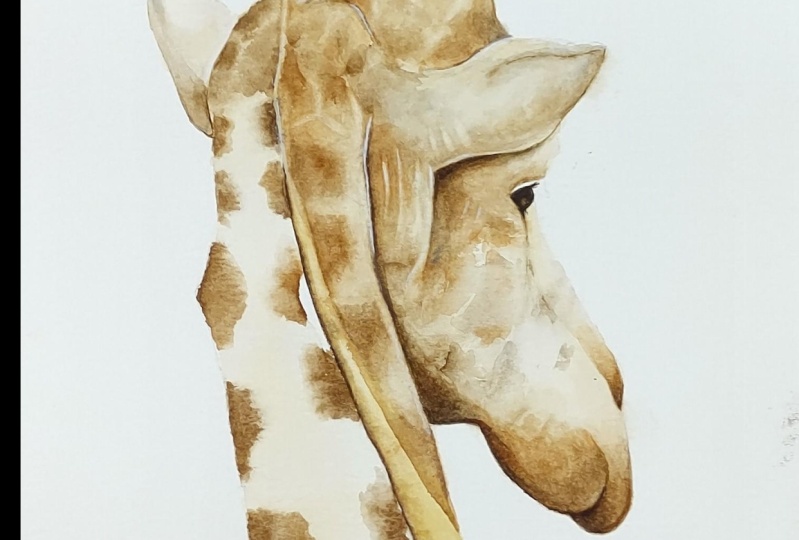 Giraffe watercolour - using wet in wet, a class by Nadine Dudek