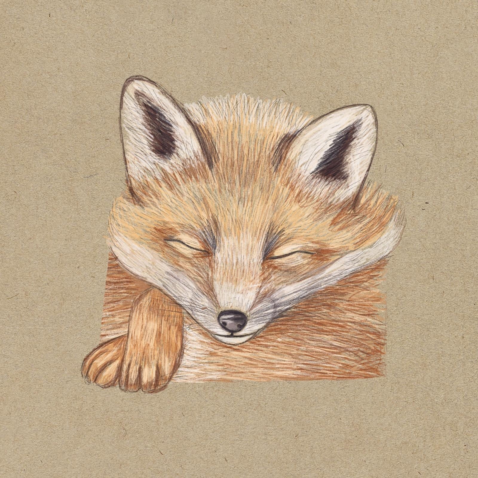 Painting a sleep fox cub - student project