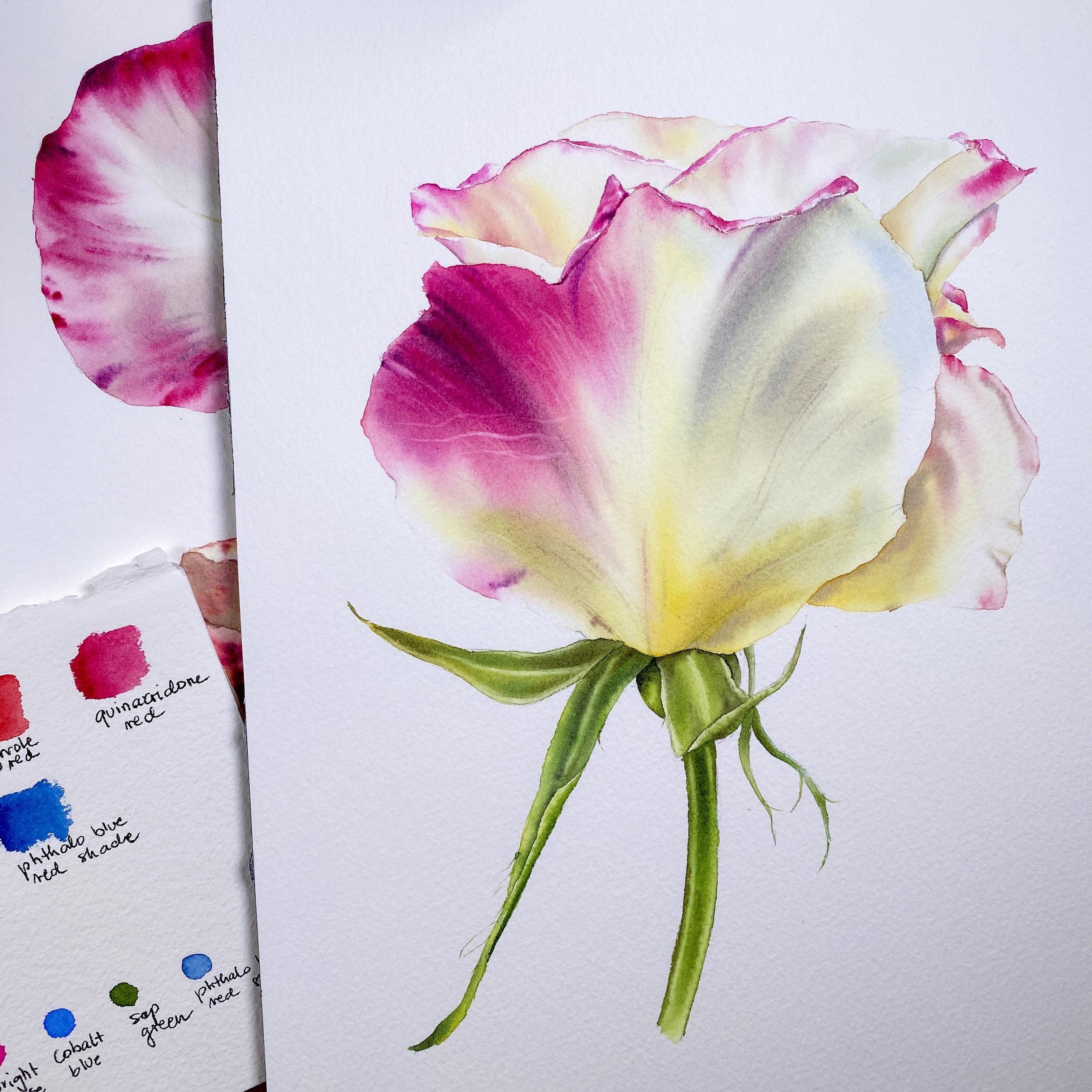 I would love to see your finished paintings!