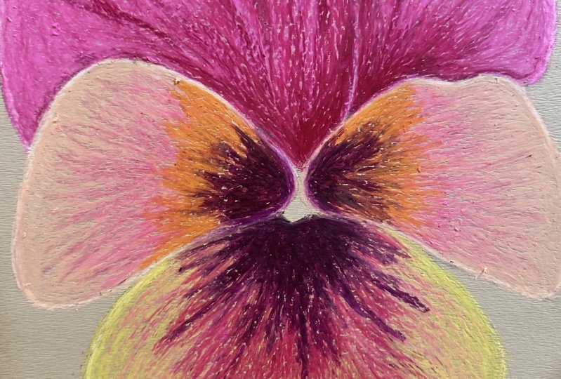 Oil Pastel Pansy
