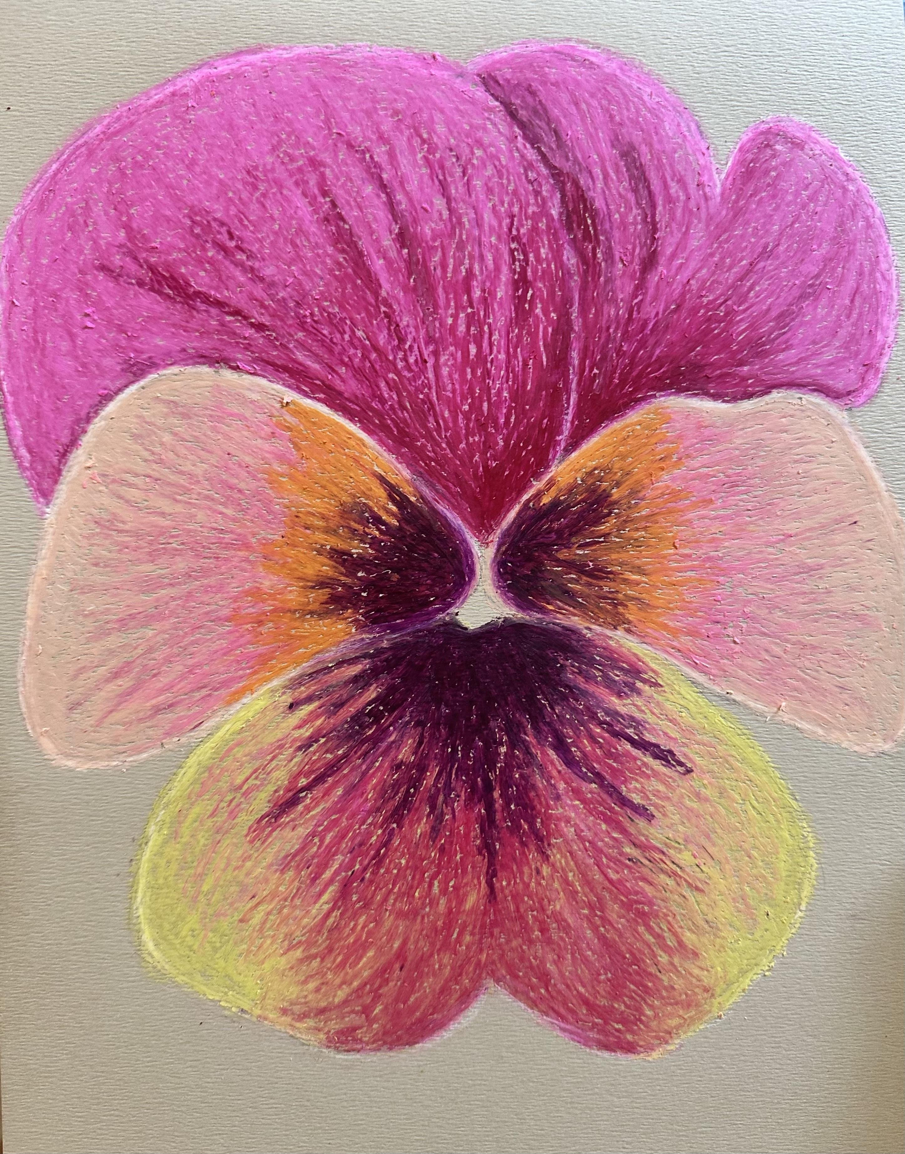 Oil Pastel Pansy - student project