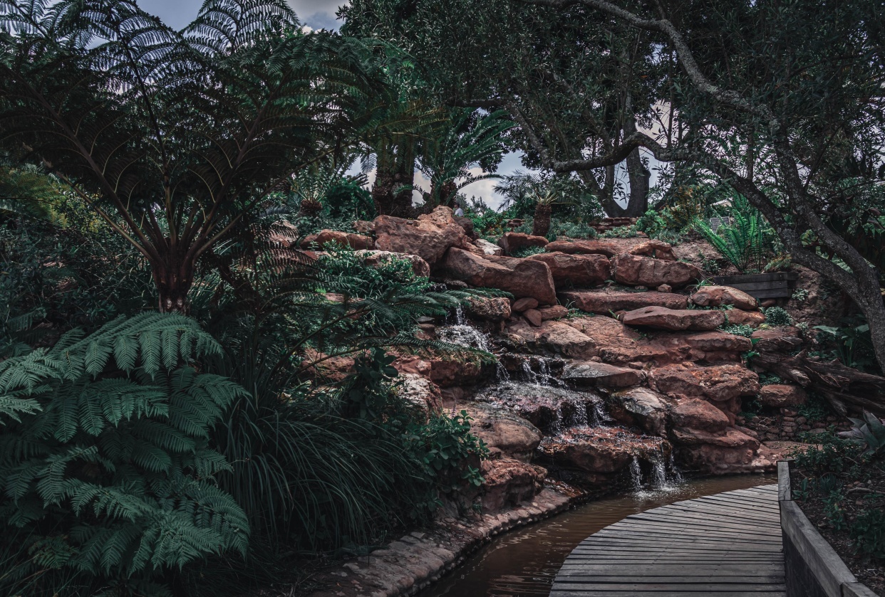 Moody Waterfall Surrounded by Plants - student project