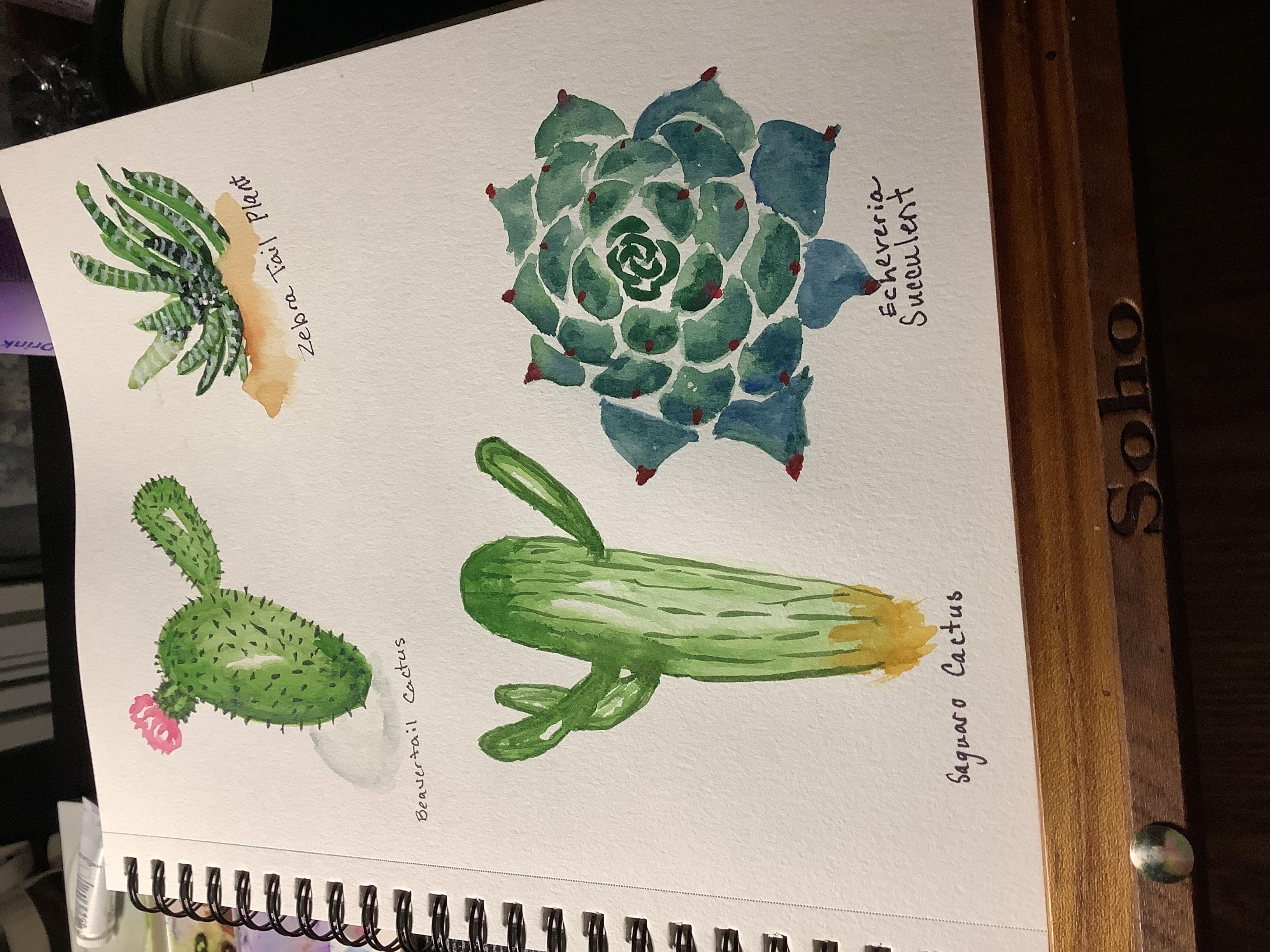 more-projects-from-class-img